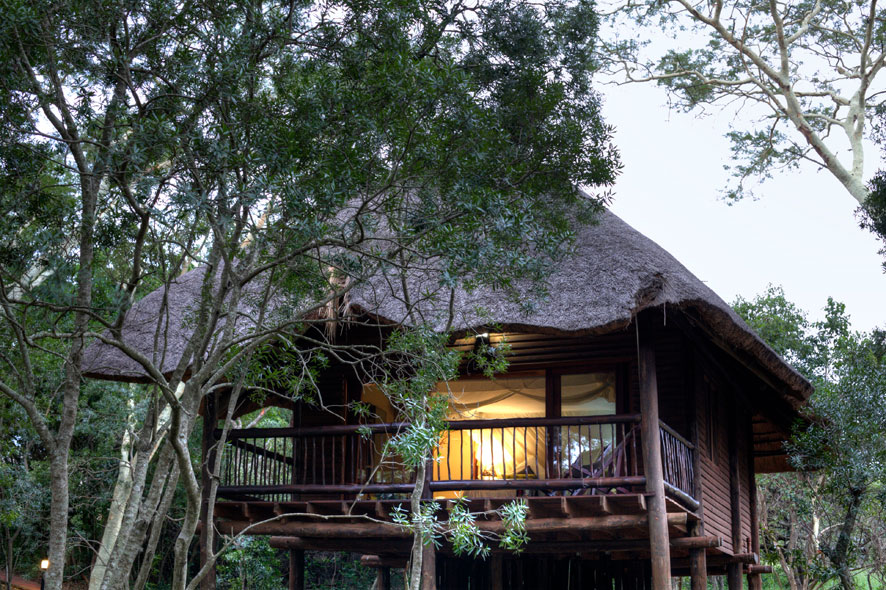 Zululand Tree Lodge Offers A Unique African Experience Ubizane
