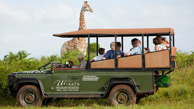 2021 South African Safari ~ When your dreams come true